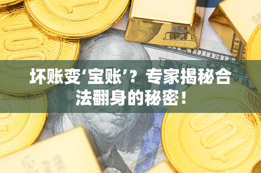 武汉坏账变‘宝账’？专家揭秘合法翻身的秘密！
