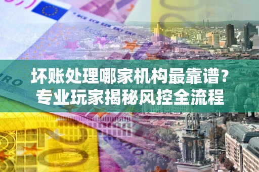 武汉坏账处理哪家机构最靠谱？专业玩家揭秘风控全流程