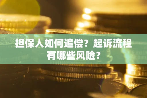 武汉担保人如何追偿？起诉流程有哪些风险？