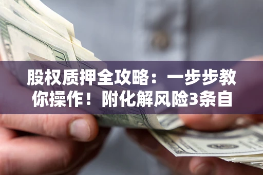 武汉股权质押全攻略：一步步教你操作！附化解风险3条自救法则