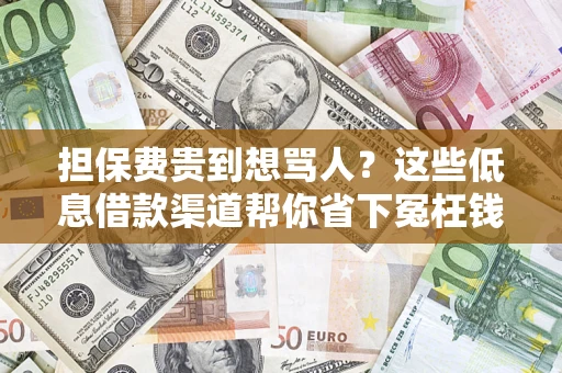 武汉担保费贵到想骂人？这些低息借款渠道帮你省下冤枉钱