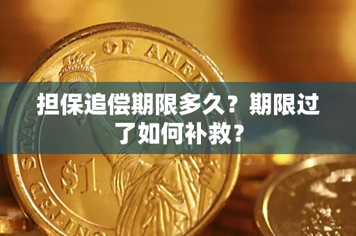 武汉担保追偿期限多久？期限过了如何补救？