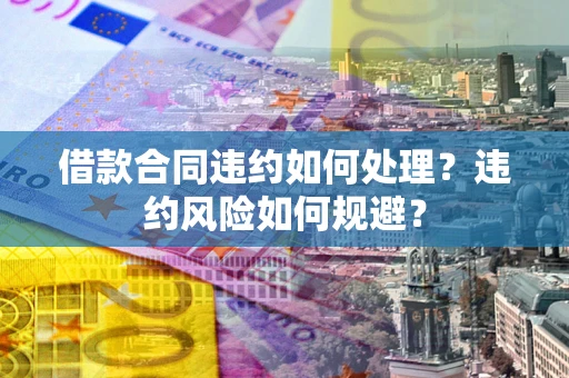 武汉借款合同违约如何处理？违约风险如何规避？