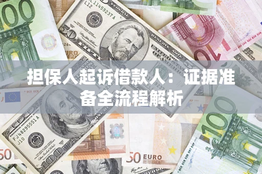 武汉担保人起诉借款人：证据准备全流程解析