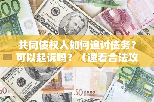 武汉共同债权人如何追讨债务？可以起诉吗？（速看合法攻略）