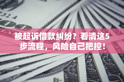 武汉被起诉借款纠纷？看清这5步流程，风险自己把控！